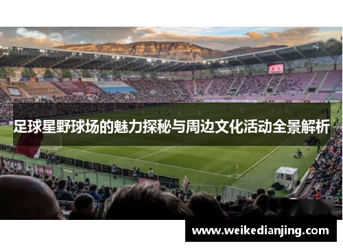 足球星野球场的魅力探秘与周边文化活动全景解析