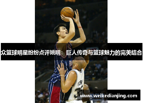 众篮球明星纷纷点评姚明：巨人传奇与篮球魅力的完美结合